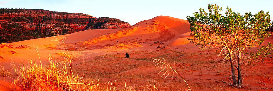 Coral Pink Sand Dunes State Park Gallery